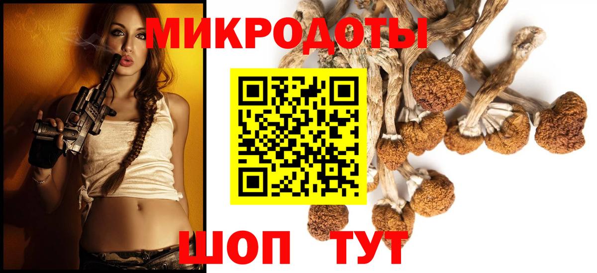 Псилоцибиновые грибы прущие грибы  Вход с VPN  купить наркотики сайты  Псилоцибиновые грибы ЛСД  Качканар 