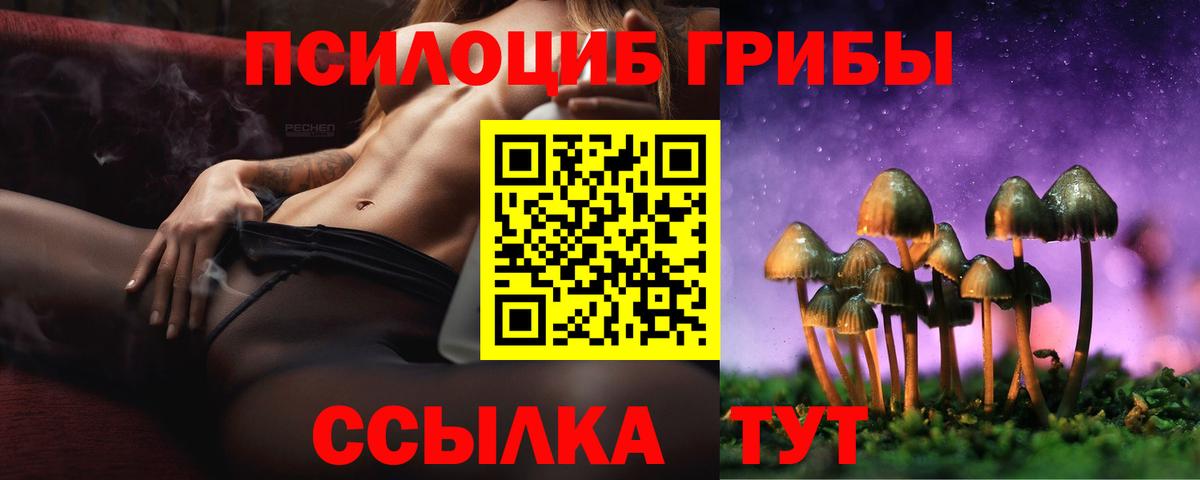 Галлюциногенные грибы GOLDEN TEACHER Качканар