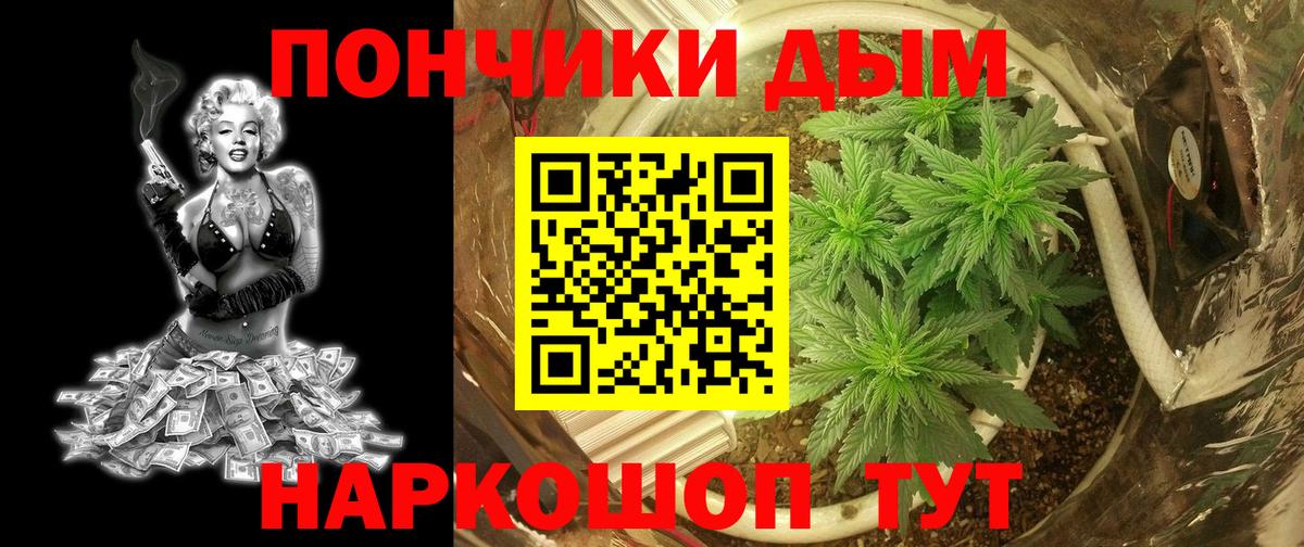 МАРИХУАНА сатива Качканар